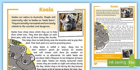 Koalas Fact Sheet Information Report Facts About Koalas