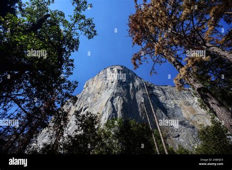 El Capitan Also Known As El Cap A Vertical Rock Formation In Yosemite National Park