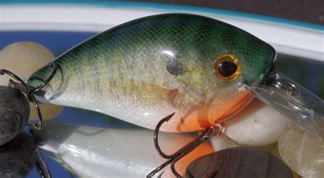 Bluegill Hard Baits TackleUnderground Tackle Building Forums