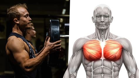 Build A Huge Chest With The Reverse Grip Bench Press Benefits