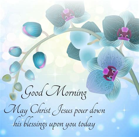 Pin By Cindy On Good Morning Morning Blessings Morning Greeting