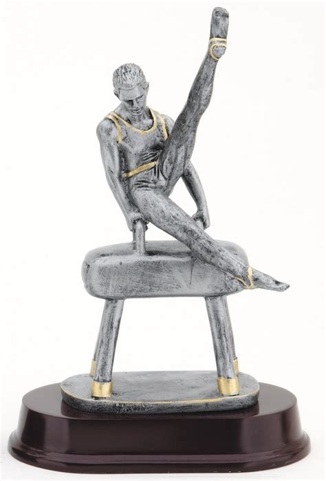 Male Or Female Gymnastics Pewter Finish Resin Award TrophyThe Trophy