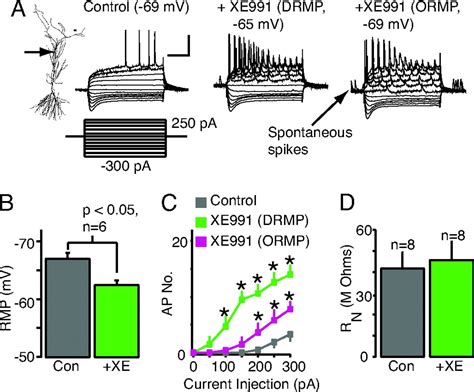 Functional Significance Of Axonal Kv7 Channels In Hippocampal Pyramidal