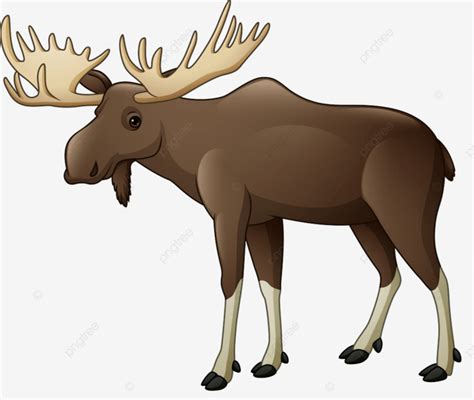 Cartoon Happy Moose On White Background, Hairy, On, Wild PNG and Vector with Transparent ...