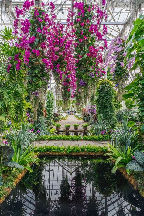 New York Botanical Garden Orchid Show Opens With Thousands of Flowers - Thrillist