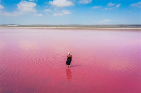 Pink Lake Western Australia - Visitor's Guide (2024)