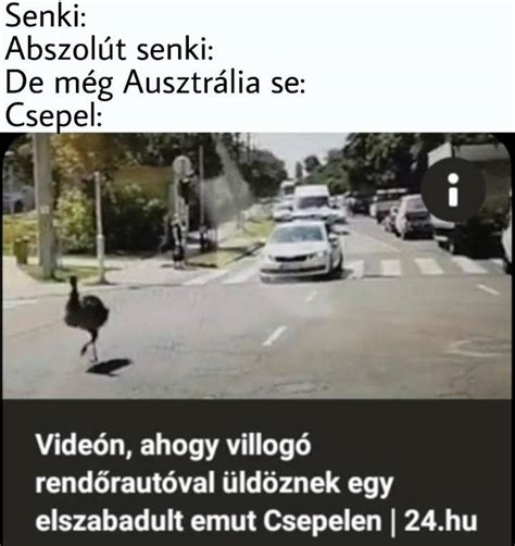 Cepel Ausztr Lia Scrolller