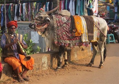 16 Interesting Facts About India That Will Make You Want To Visit Artofit