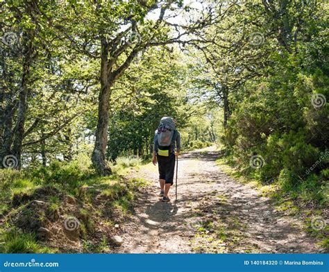 Lonely Pilgrim With Backpack Walking The Camino De Santiago In Spain