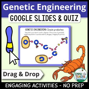 Genetic Engineering Digital Activities And Quiz Biotechnology TPT