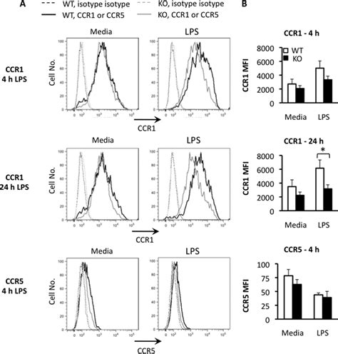 Regulation Of Ccr1 And Ccr5 Mrna Expression Correlates With Membrane