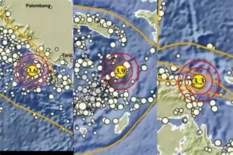 Gempa Bumi Terkini Terjadi Di Lampung Maluku Tenggara Dan Papua Barat