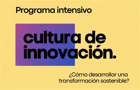 Qué Es La Cultura De Innovación Y Cómo Implementarla Uvitec