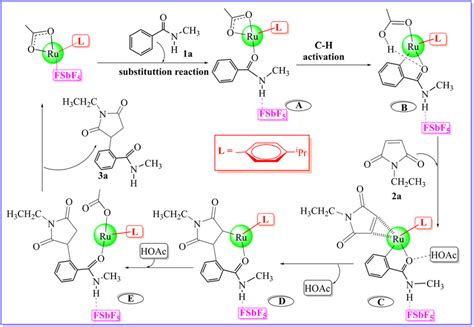 Scheme 2 Possible Catalytic Cycles For The Ruthenium Catalyzed