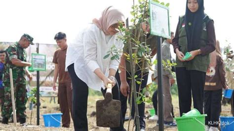 KLHK Lanjutkan Penanaman Pohon Serentak Di Seluruh Indonesia