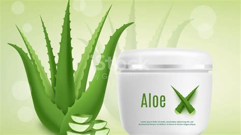 Aloe Vera Unveiled Extraction Of Active Youtube