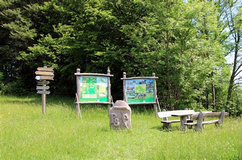 Entdeckertour Premiumweg P Heiligenberg Wanderung