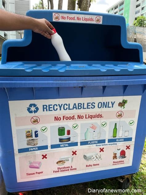 Recycling In Singapore The Ultimate Guide Diary Of A New Mom