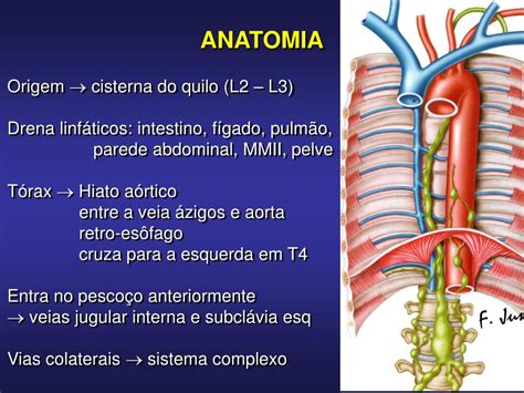 PPT Quilot ó rax PowerPoint Presentation free download ID 4108058