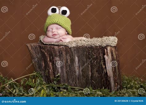 784 Baby Frog Tree Stock Photos - Free & Royalty-Free Stock Photos from ...