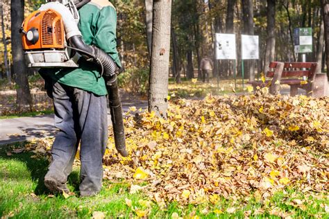 5 Components Of A Thorough Yard Clean Up