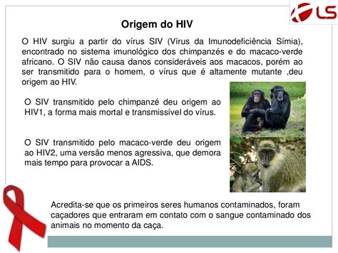 O Que é Hiv Como Se Contrai O Vírus O Que é Aids