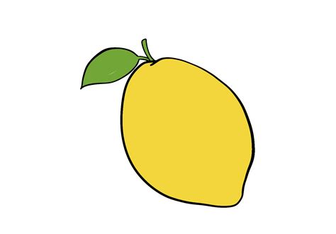 How To Draw A Lemon In Easy Steps Design Bundles