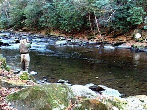 Gatlinburg Trout And Fly Fishing Guide Elk Springs Resort