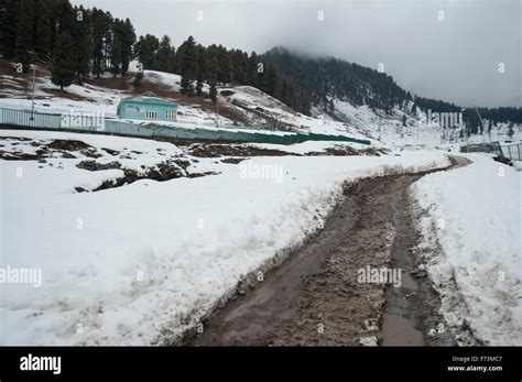 Snow covered aru valley, pahalgam, kashmir, india, asia Stock Photo - Alamy