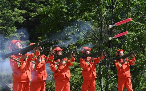 永远不要忘记他们 ——赞全国各地护林员 （作者：周 波） 邳州文化网