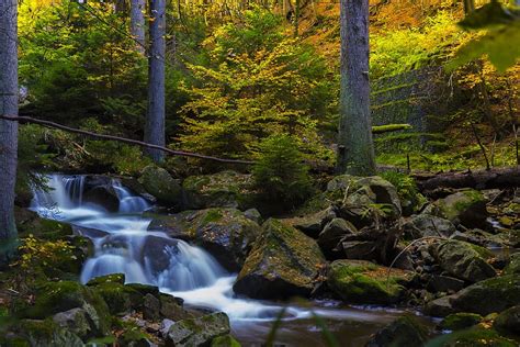 Timelapse Fotografija Nukrenta Medžiai Fonas Fono Vaizdas Upelis