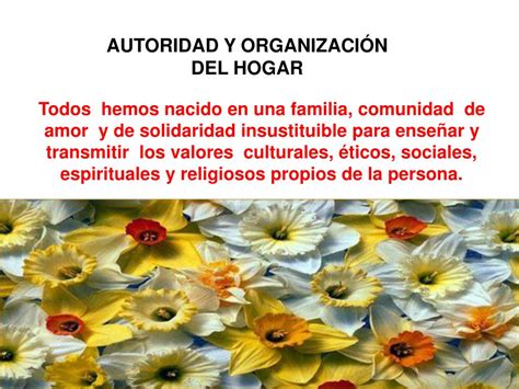 Ppt Autoridad Y Organización Del Hogar Powerpoint Presentation Free Download Id 5308722