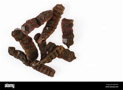 Acacia Pods Stock Photos And Acacia Pods Stock Images Alamy