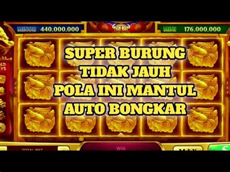 Terbukti Meledak Kode Pola Burung Room Duofu Duocai Jp Hari Ini