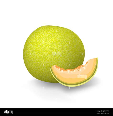 Yellow Melon Green Honeydew Cantaloupe Fruit Galia Sweet Melon Slice