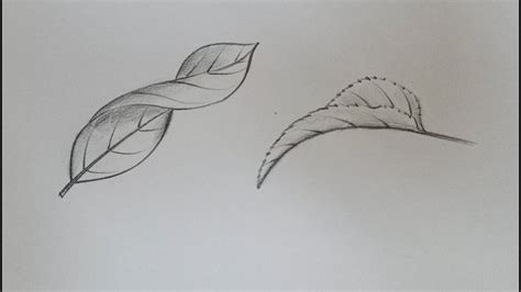 How To Draw Curled Leaf Drawing Very Easy Easy Leaf Drawing Vel S