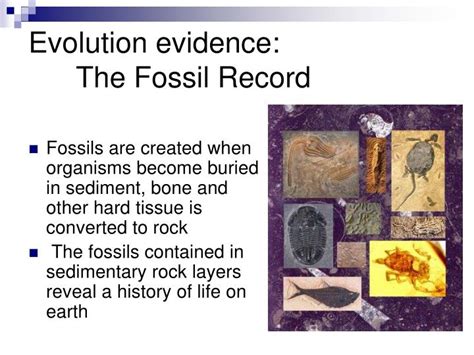 PPT Darwin Microevolution PowerPoint Presentation ID 1279470