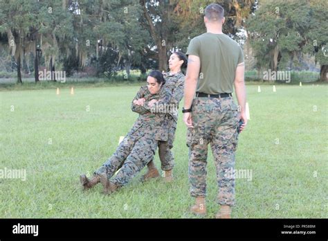 Dozens Of Marines Aboard Marine Corps Logistics Base Albany Participated In A Grueling Combat