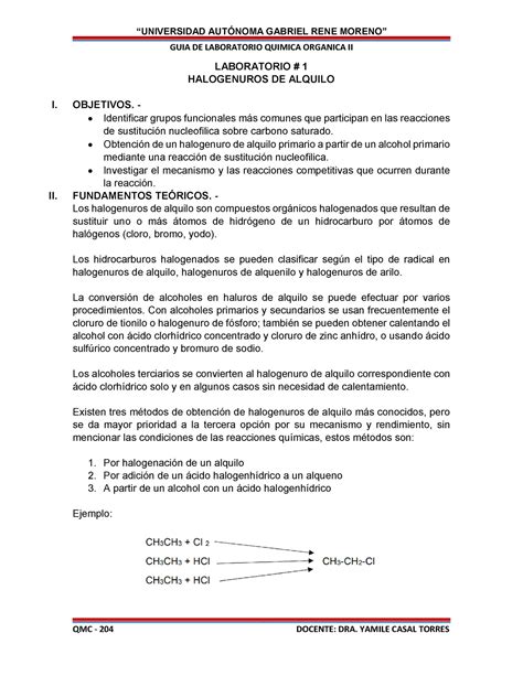 LABORATORIO DE QUIMICA ORGANICA 1 GUIA DE LABORATORIO QUIMICA
