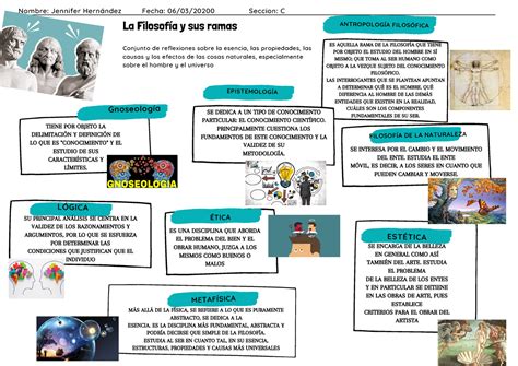 Aderire Tipicamente Ingegnere Clasificacion De Las Ramas De La