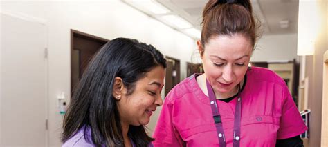 Nursing And Midwifery Board Of Australia Nursing