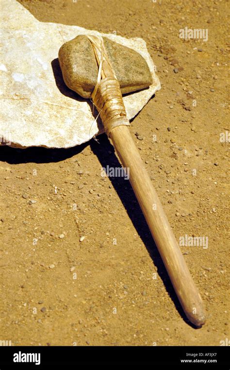 Early Native American Indian Stone Tomahawk That Was Found In Stock