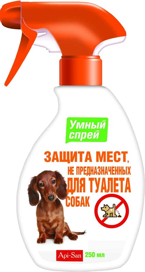 Метка для собак (56 фото) - картинки sobakovod.club