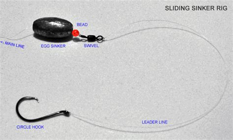 Most Popular Ways To Set Up A Catfish Rig Most Popular