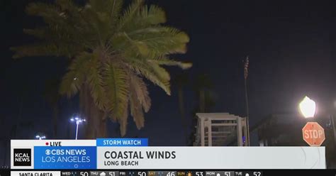 Gusts Knock Down Trees Pounds Beaches In Long Beach And Orange County