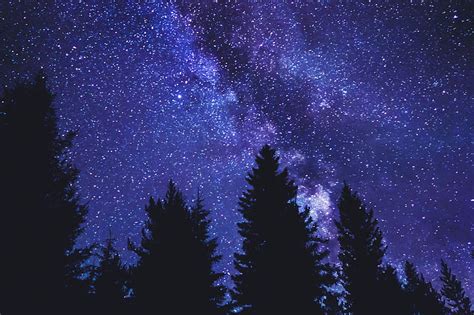 Starry Sky Trees Silhouette Night Dark Hd Wallpaper Peakpx