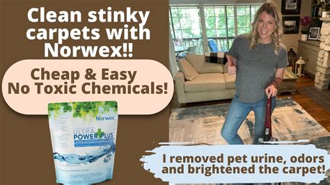 Clean Your Carpets With Norwex Remove Stains And Pet Odors And