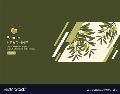 Olive tree branch Royalty Free Vector Image - VectorStock