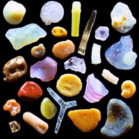 Sand under a Microscope; How Does Magnified Sand Look?