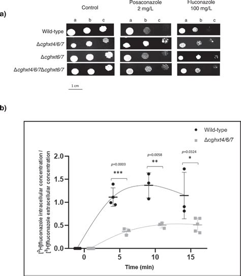 Cghxt And Cghxt Promote Azole Susceptibility In C Glabrata A